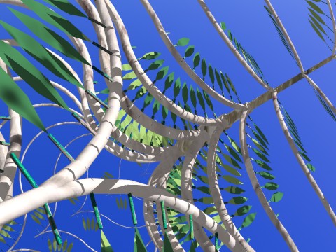 Strange Palm